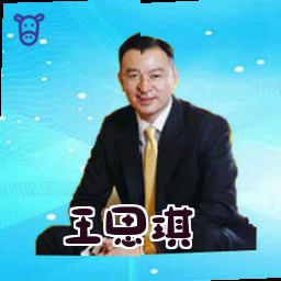 王思琪